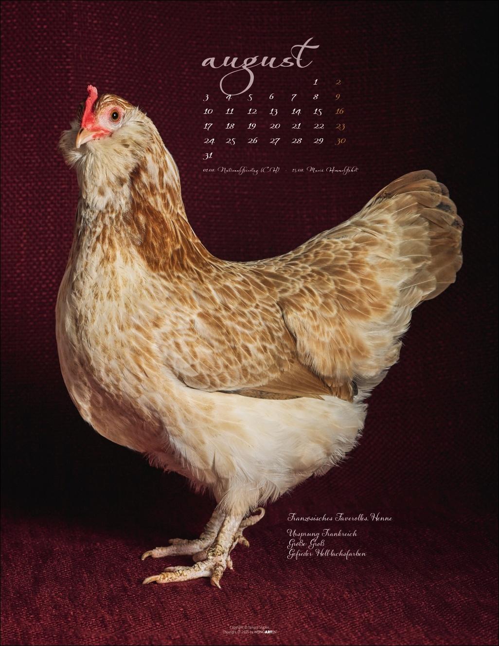 Beispielinhalt (Bild) Pretty Chicks Kalender 2026