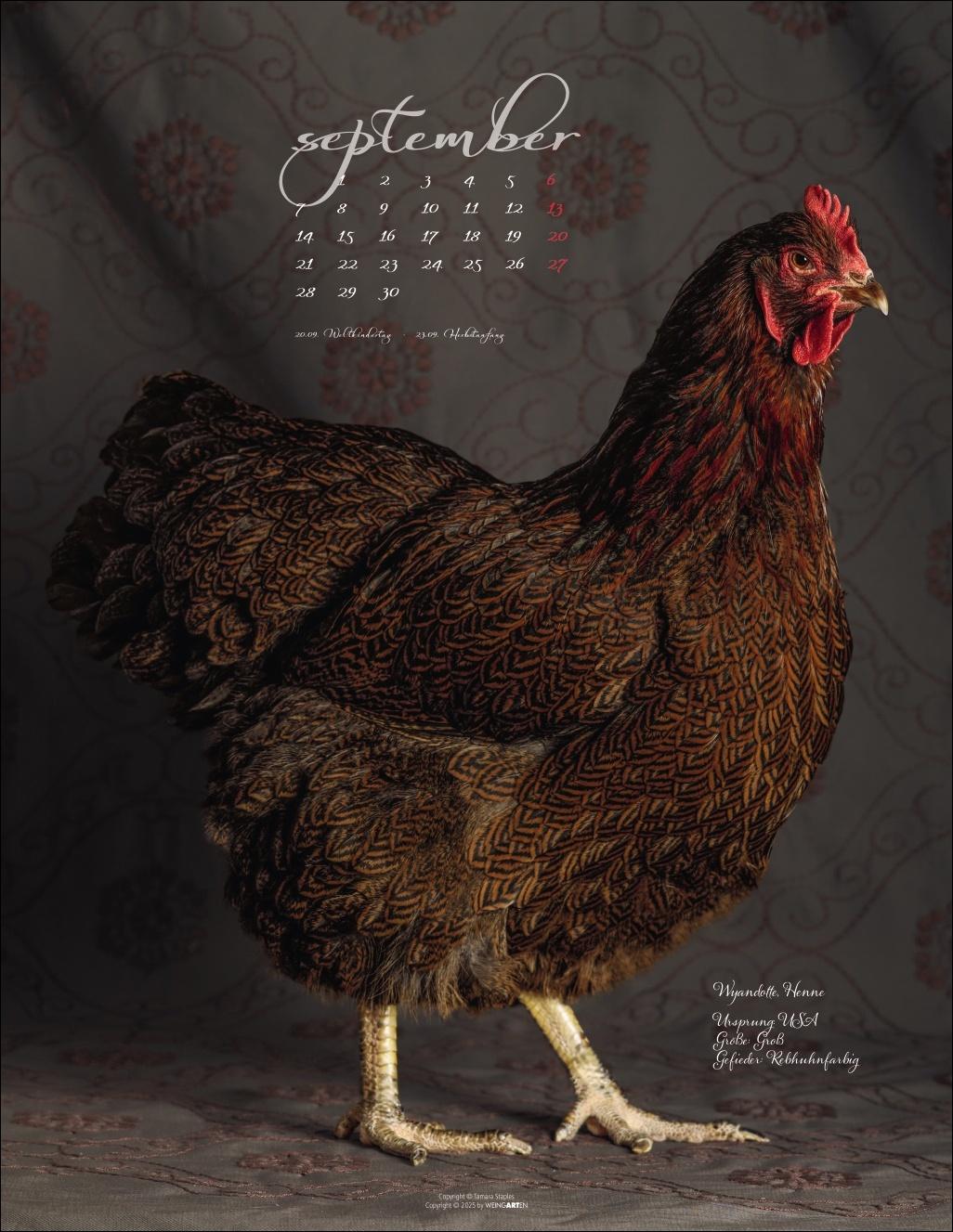 Beispielinhalt (Bild) Pretty Chicks Kalender 2026