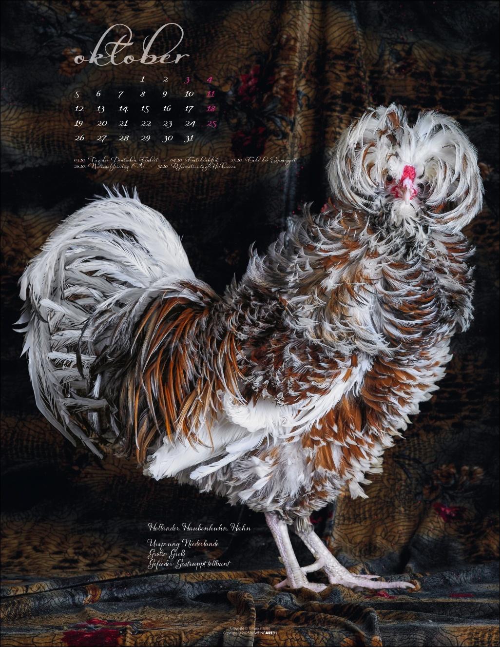 Beispielinhalt (Bild) Pretty Chicks Kalender 2026