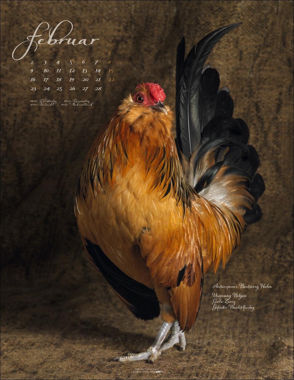 Beispielinhalt (Bild) Pretty Chicks Kalender 2026