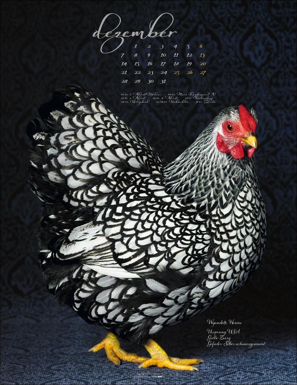 Beispielinhalt (Bild) Pretty Chicks Kalender 2026