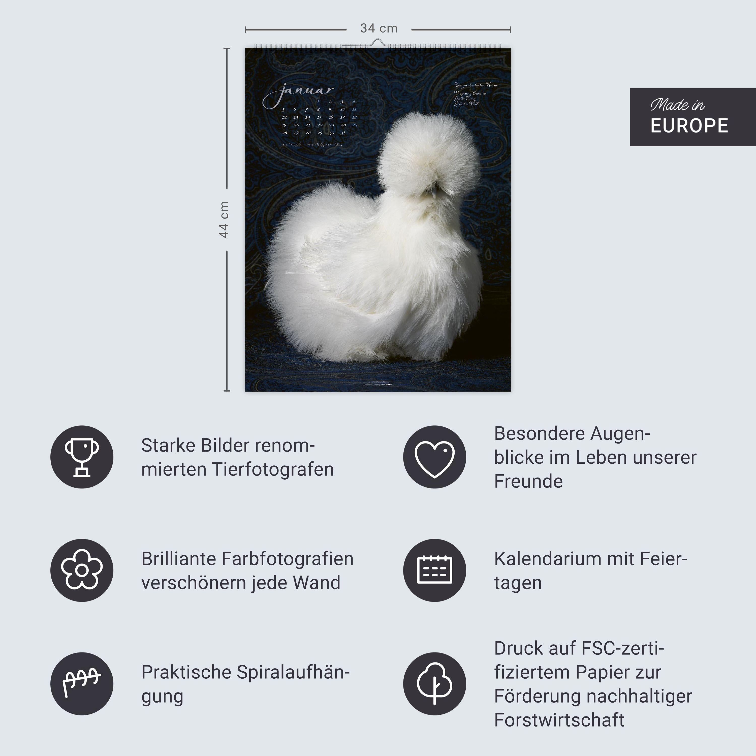 Beispielinhalt (Bild) Pretty Chicks Kalender 2026