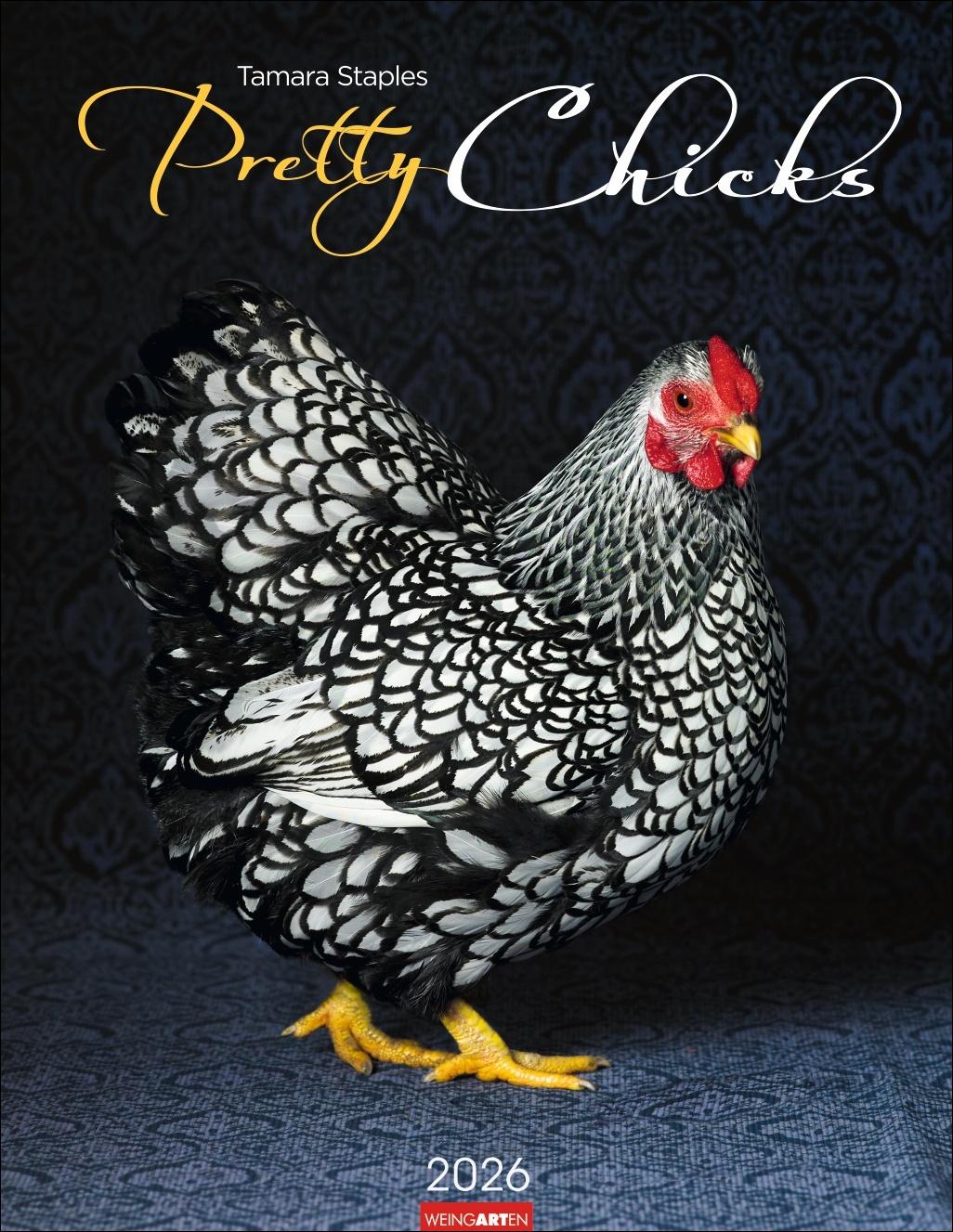 Vorderes Coverbild Pretty Chicks Kalender 2026