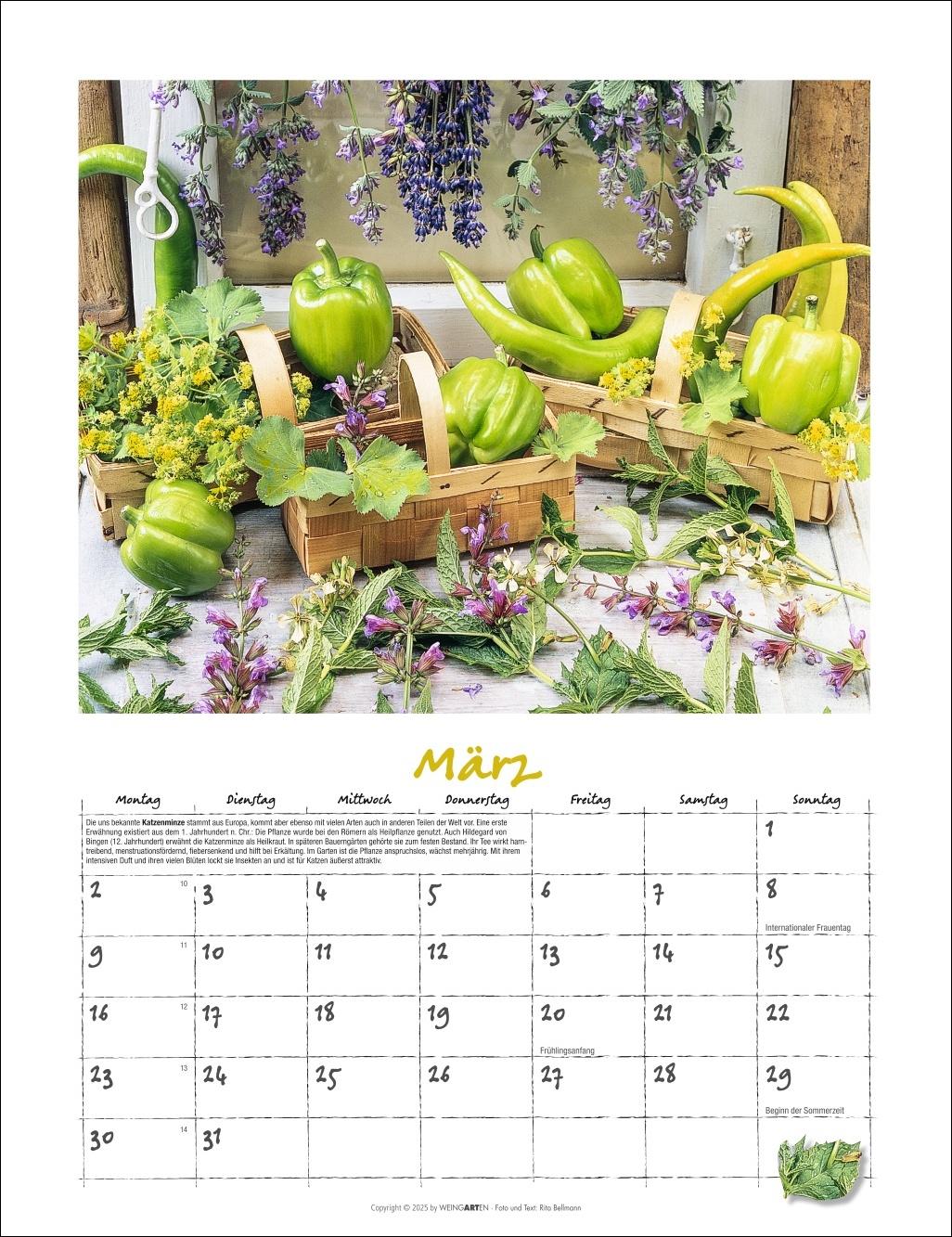 Beispielinhalt (Bild) Augenschmaus Kalender 2026 - Gewürze und Kräuter rund ums Jahr