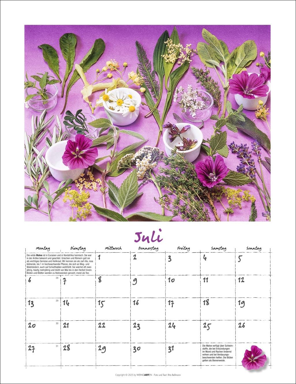 Beispielinhalt (Bild) Augenschmaus Kalender 2026 - Gewürze und Kräuter rund ums Jahr