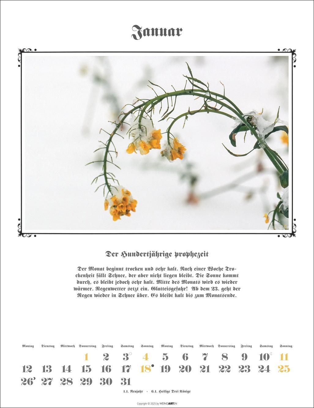 Beispielinhalt (Bild) Der Hundertjährige Kalender 2026