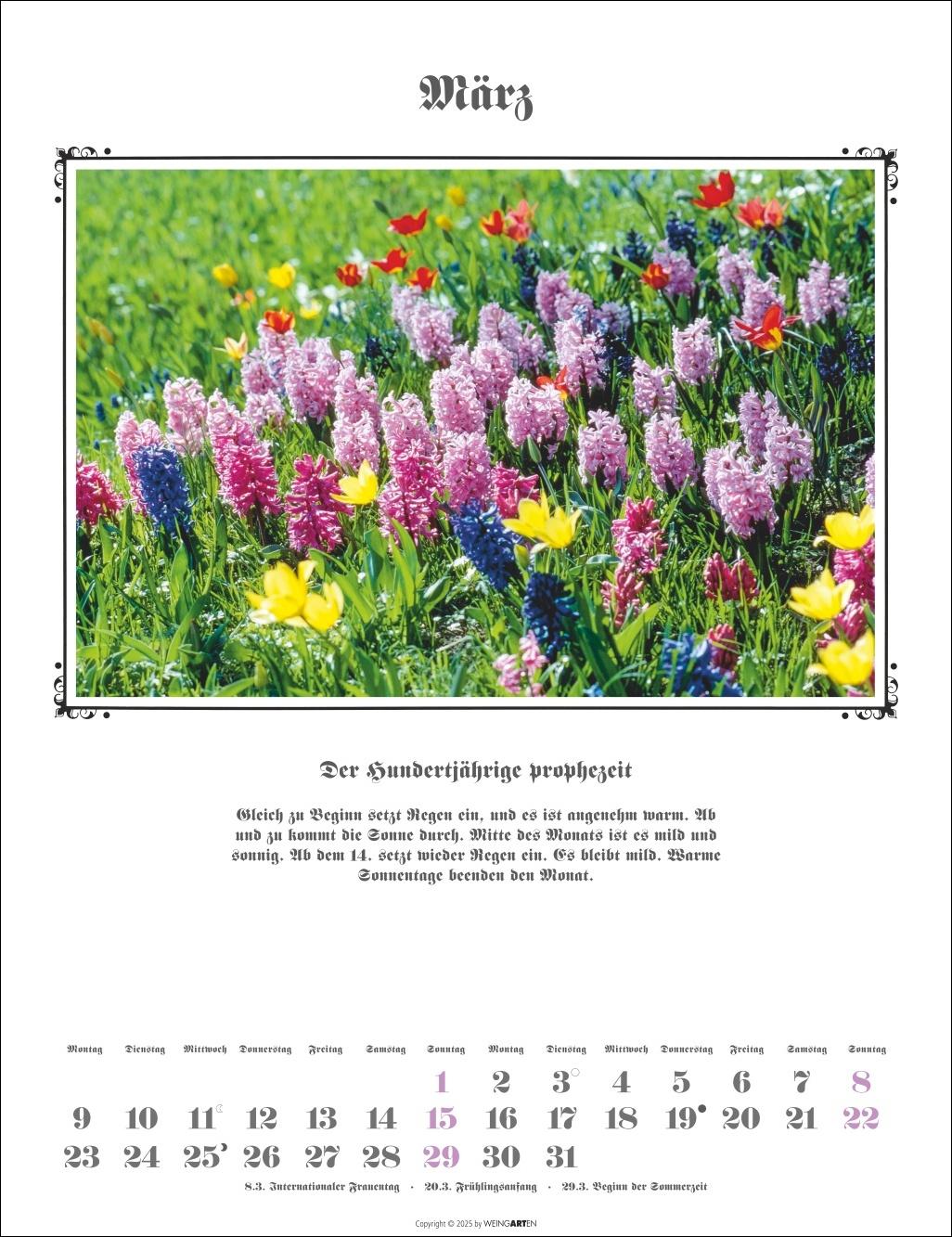 Beispielinhalt (Bild) Der Hundertjährige Kalender 2026