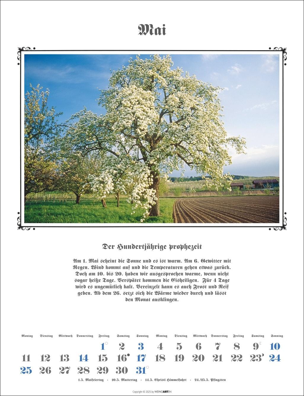 Beispielinhalt (Bild) Der Hundertjährige Kalender 2026
