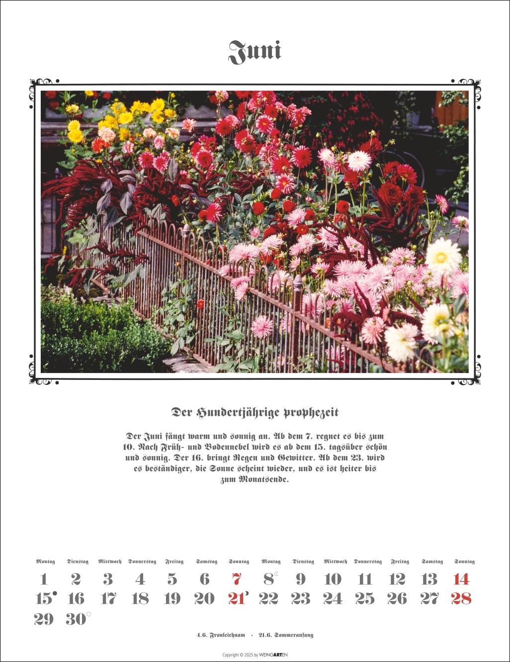 Beispielinhalt (Bild) Der Hundertjährige Kalender 2026