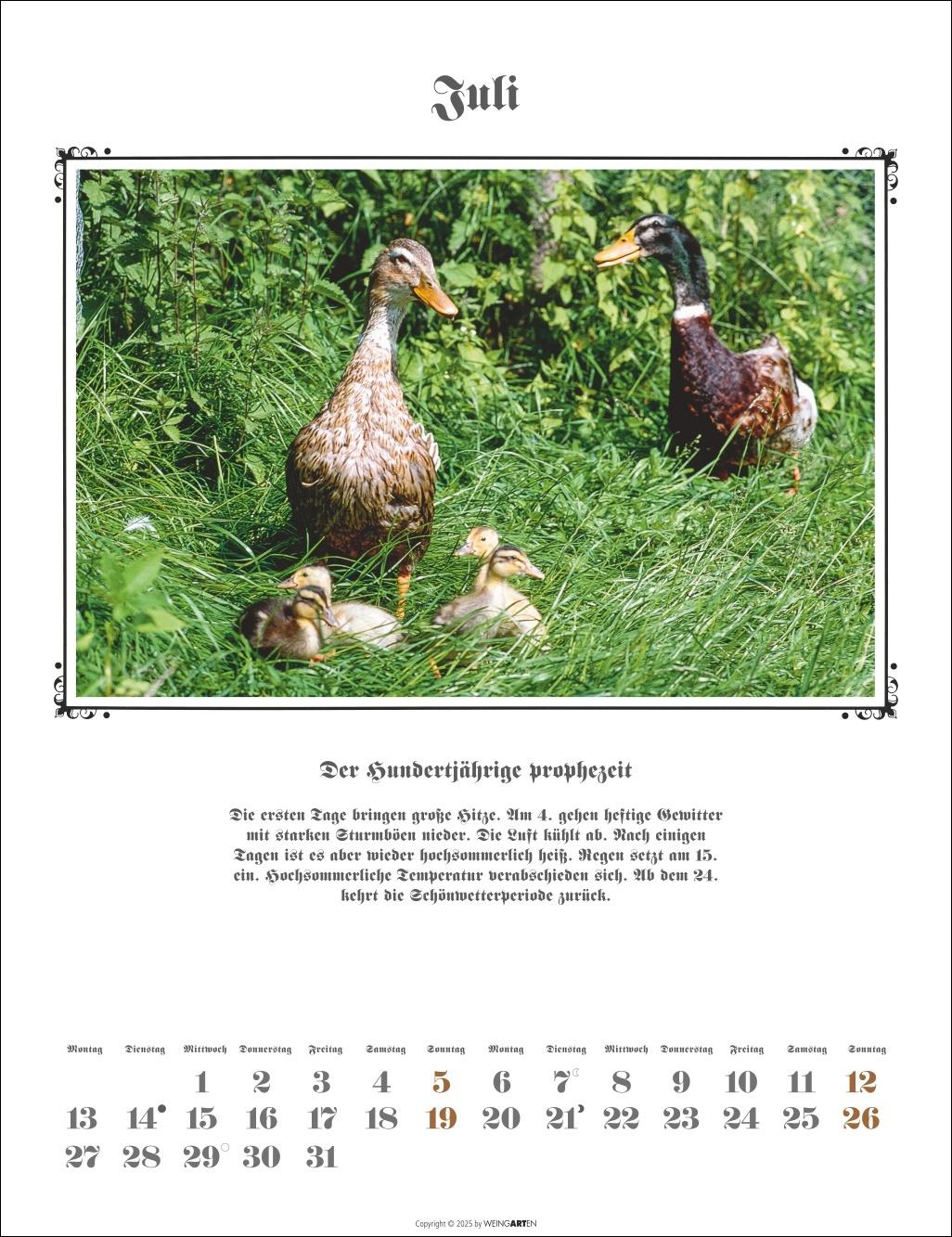 Beispielinhalt (Bild) Der Hundertjährige Kalender 2026