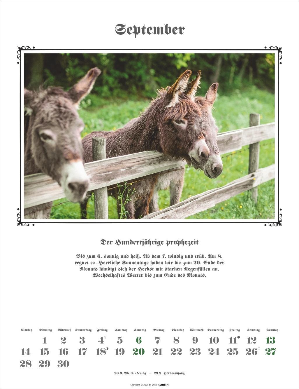 Beispielinhalt (Bild) Der Hundertjährige Kalender 2026