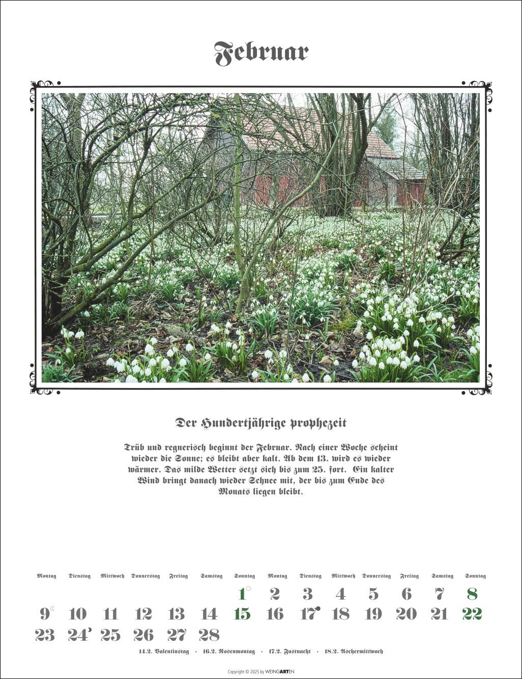 Beispielinhalt (Bild) Der Hundertjährige Kalender 2026