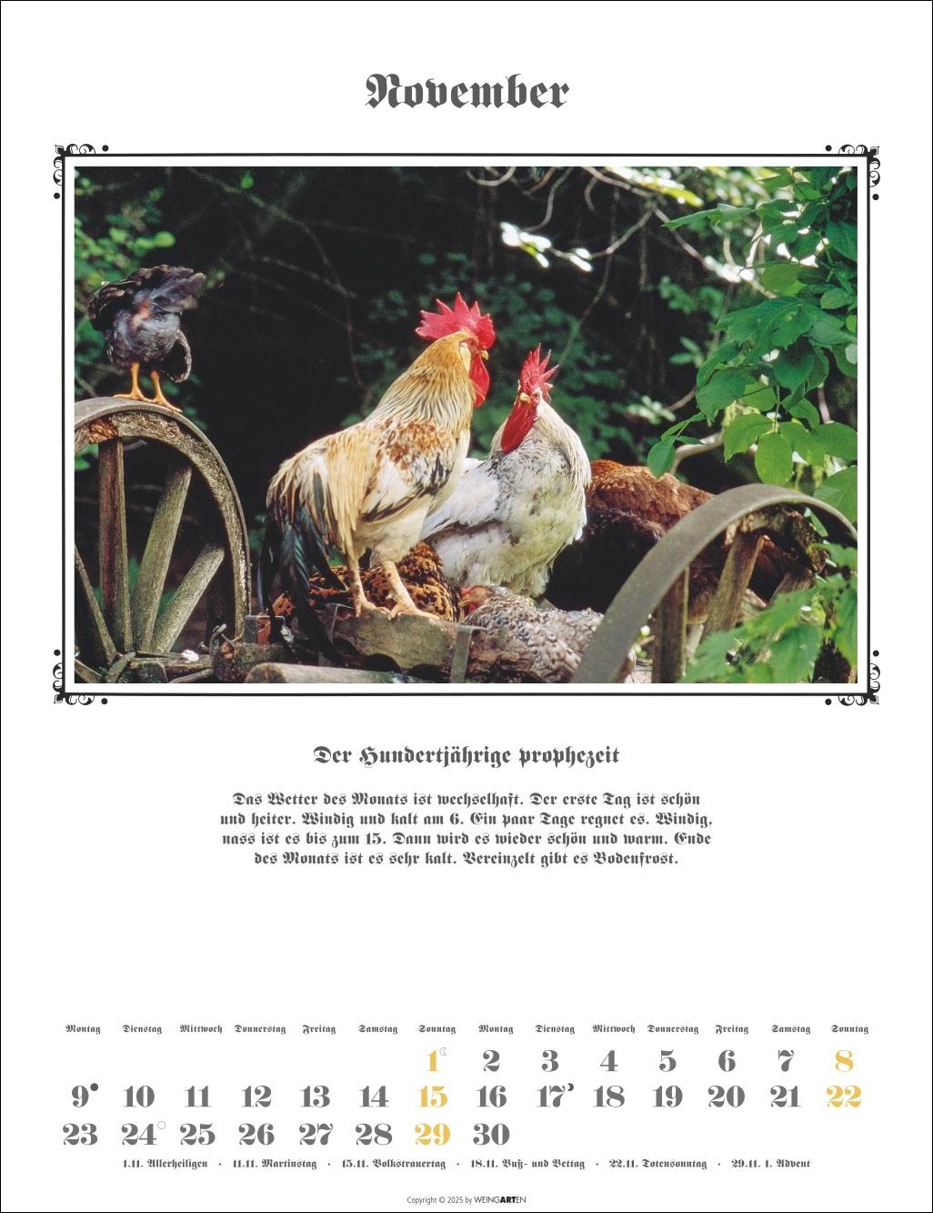 Beispielinhalt (Bild) Der Hundertjährige Kalender 2026