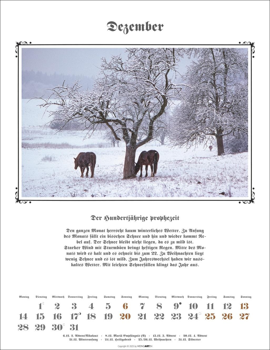 Beispielinhalt (Bild) Der Hundertjährige Kalender 2026