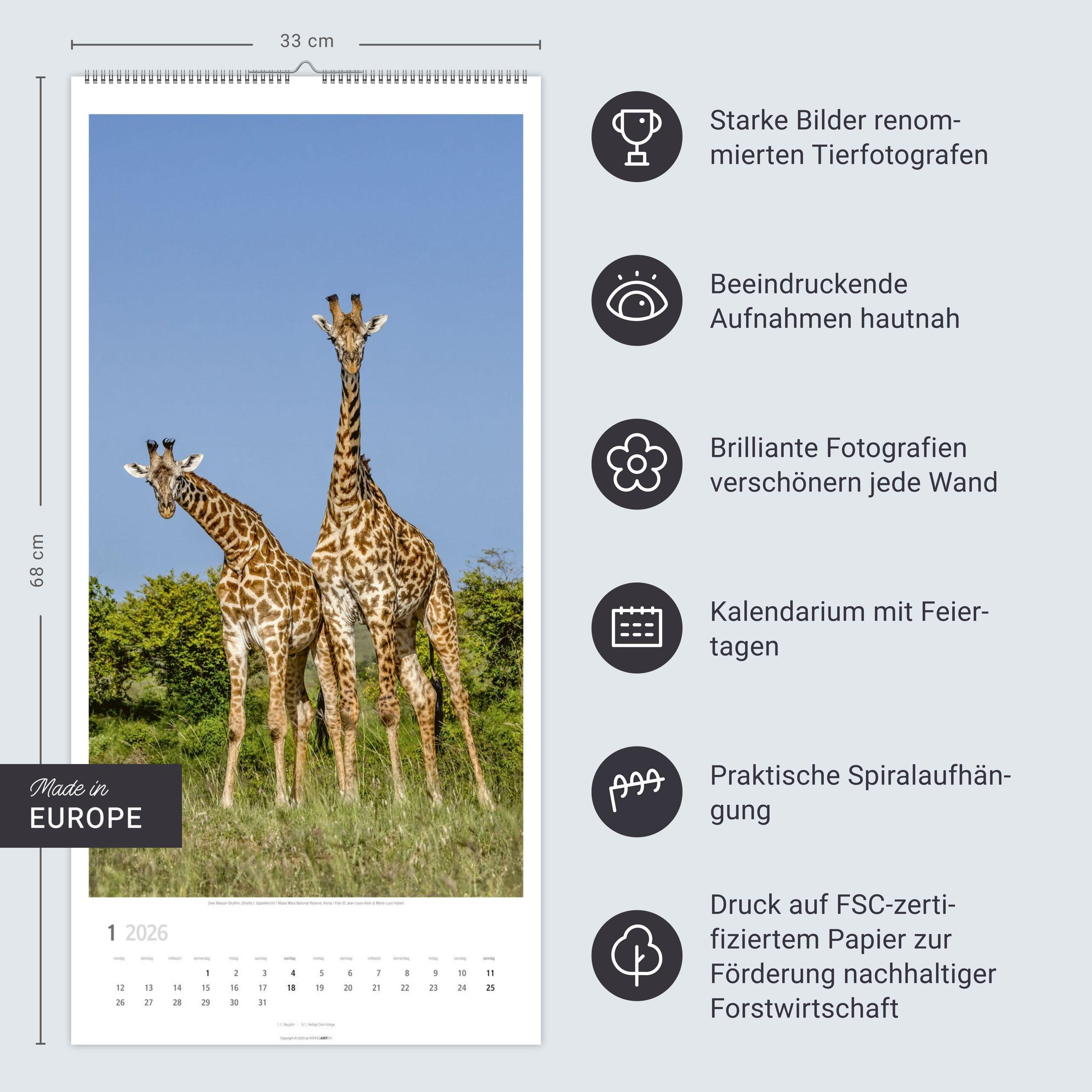 Beispielinhalt (Bild) Giraffen Kalender 2026