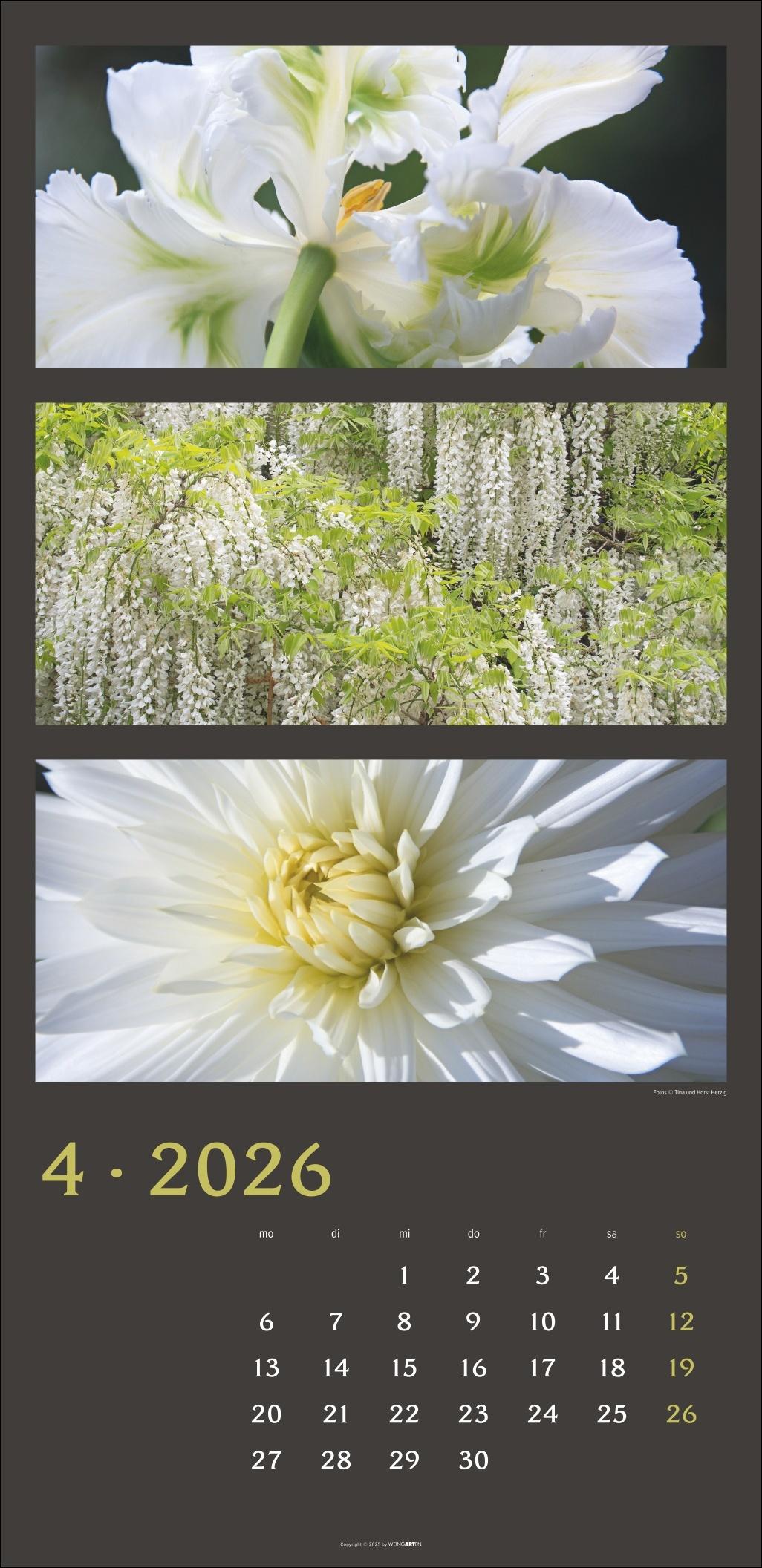 Beispielinhalt (Bild) Die Farben der Natur Kalender 2026