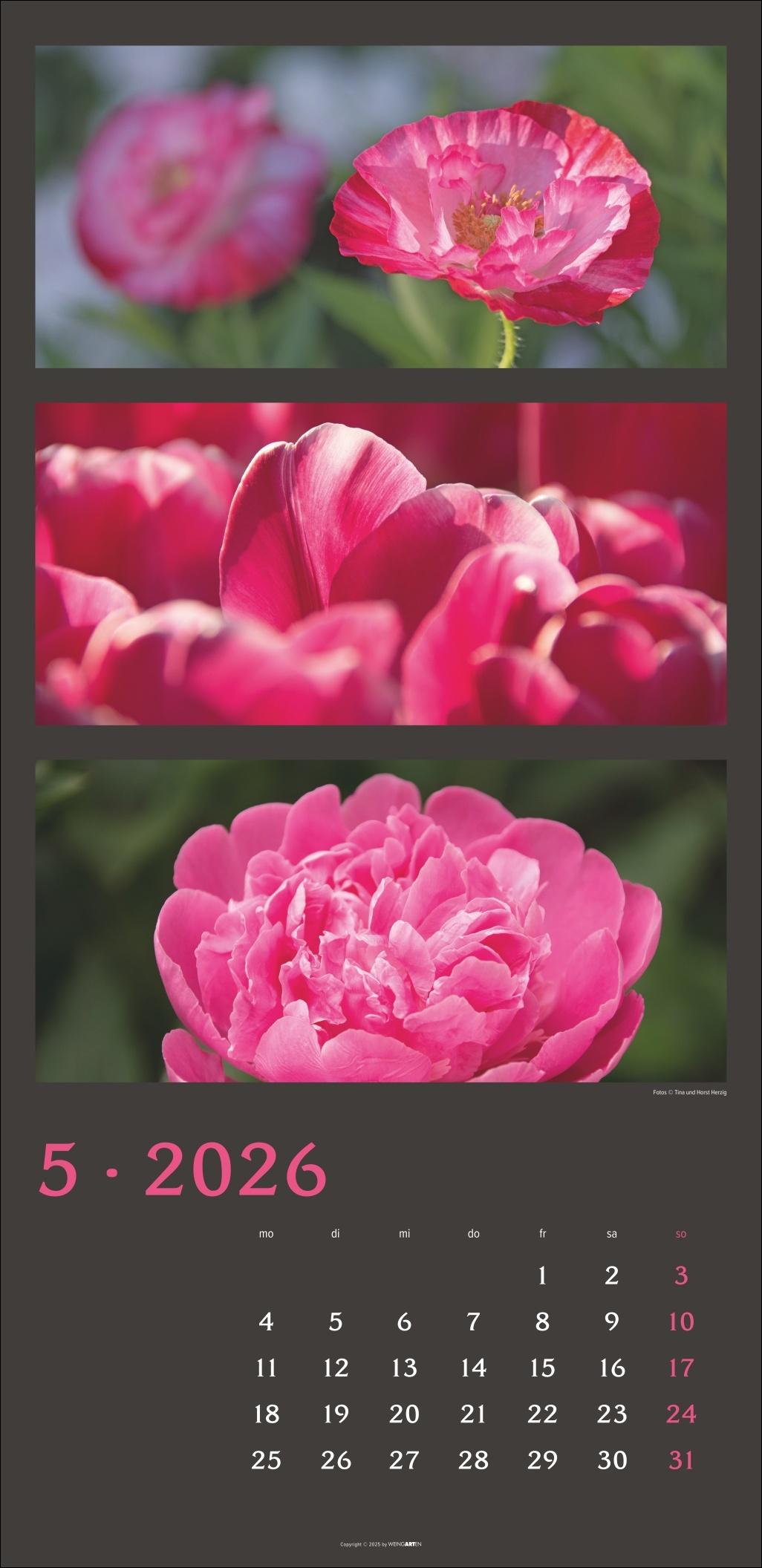 Beispielinhalt (Bild) Die Farben der Natur Kalender 2026
