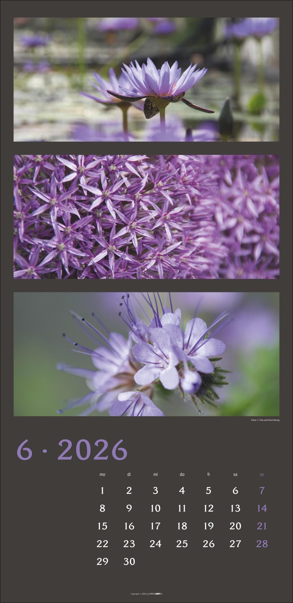 Beispielinhalt (Bild) Die Farben der Natur Kalender 2026