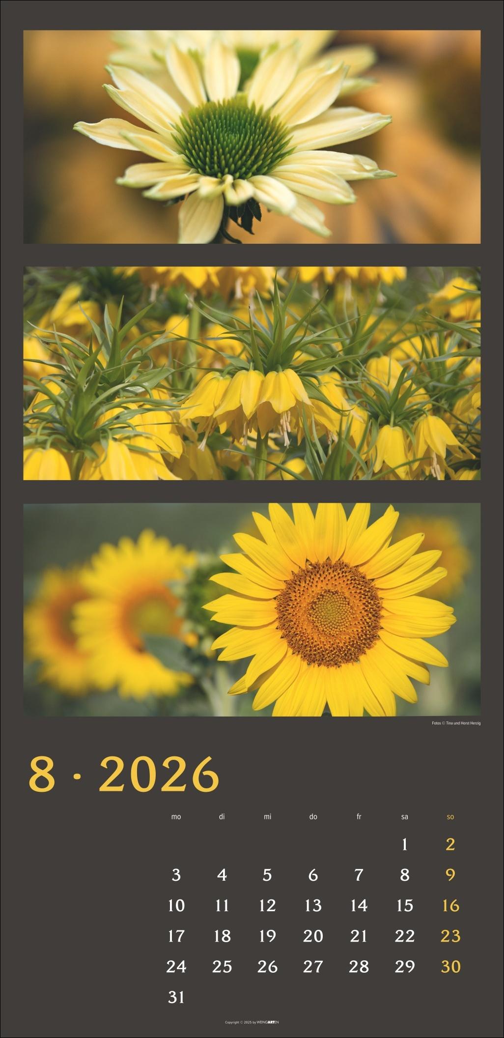 Beispielinhalt (Bild) Die Farben der Natur Kalender 2026