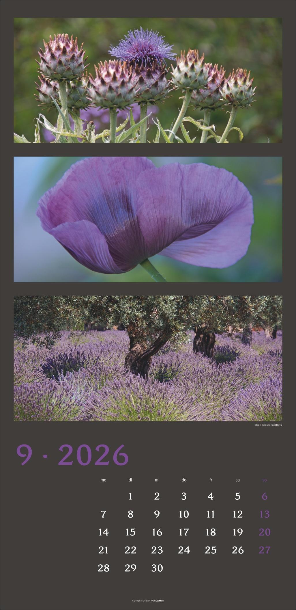 Beispielinhalt (Bild) Die Farben der Natur Kalender 2026