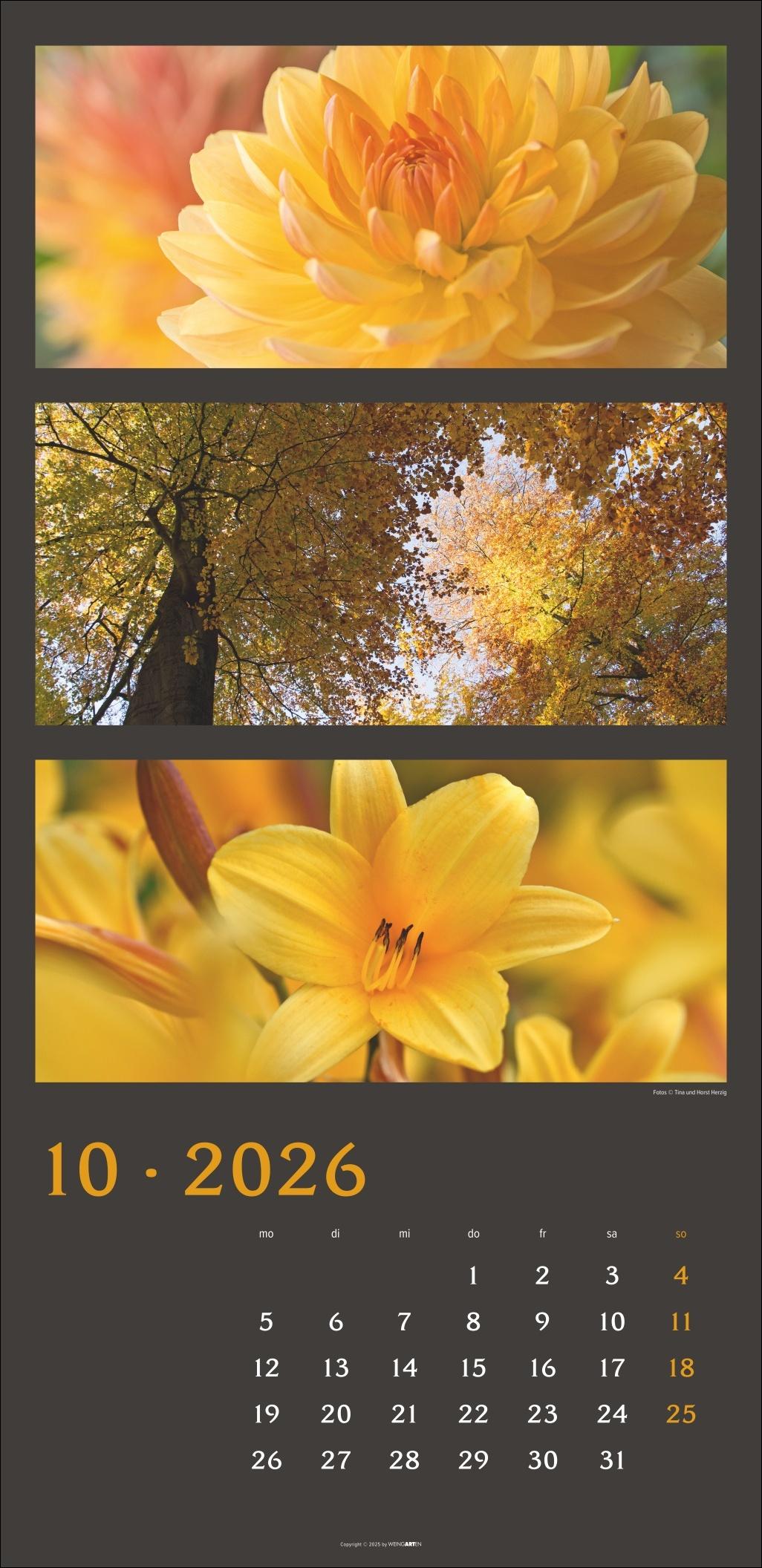 Beispielinhalt (Bild) Die Farben der Natur Kalender 2026