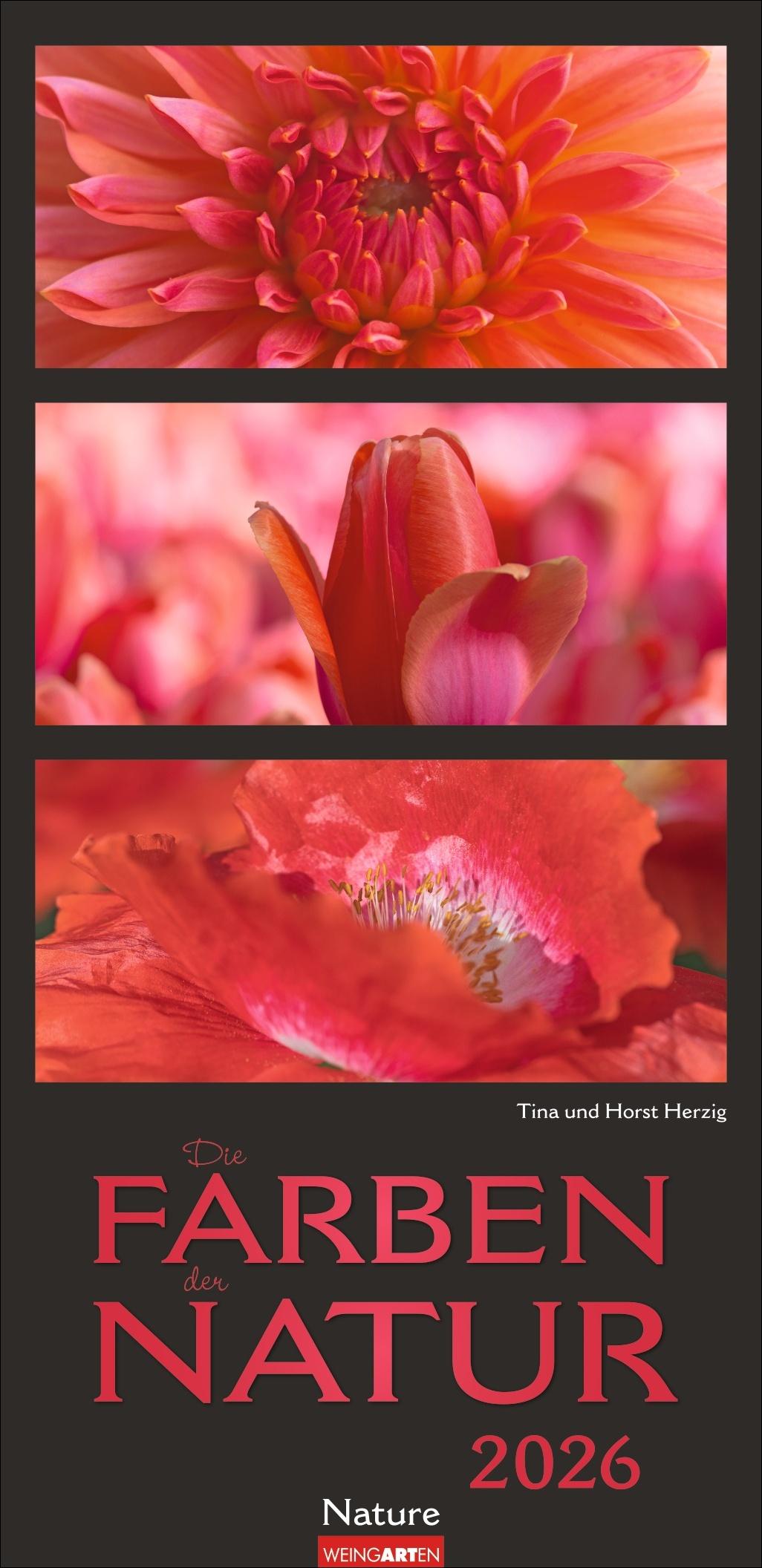 Vorderes Coverbild Die Farben der Natur Kalender 2026