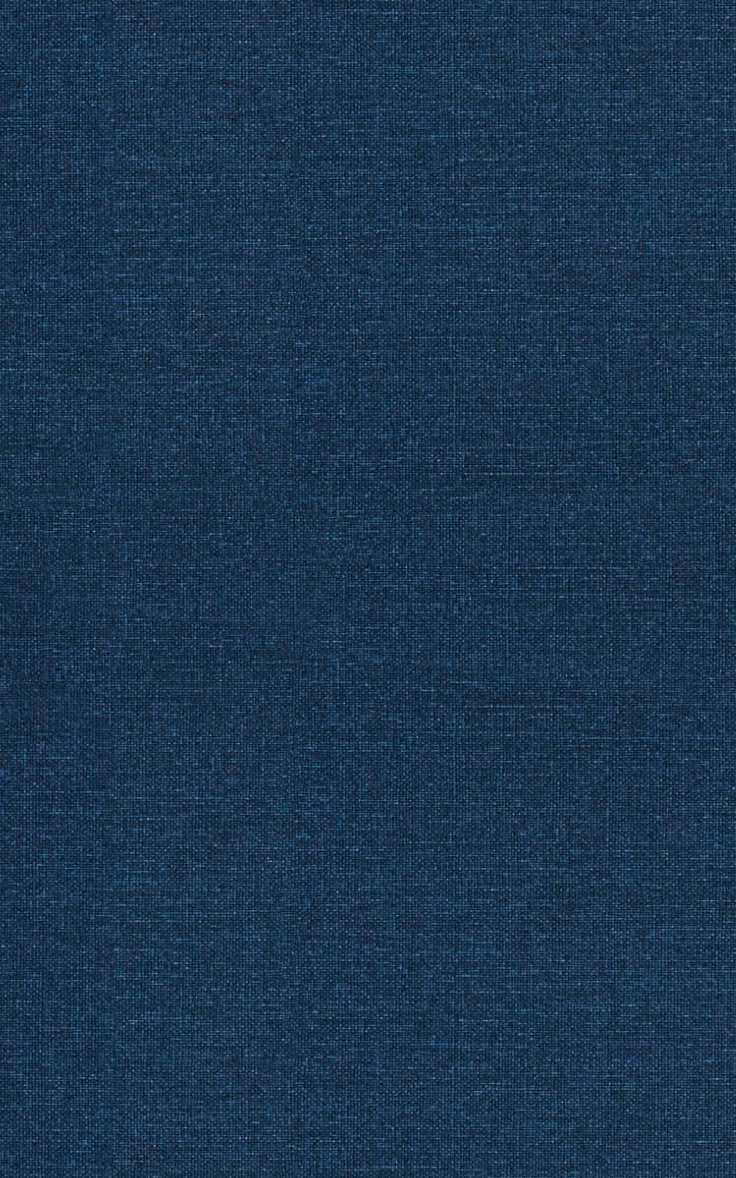 Vorderes Coverbild The Monster in the Closet