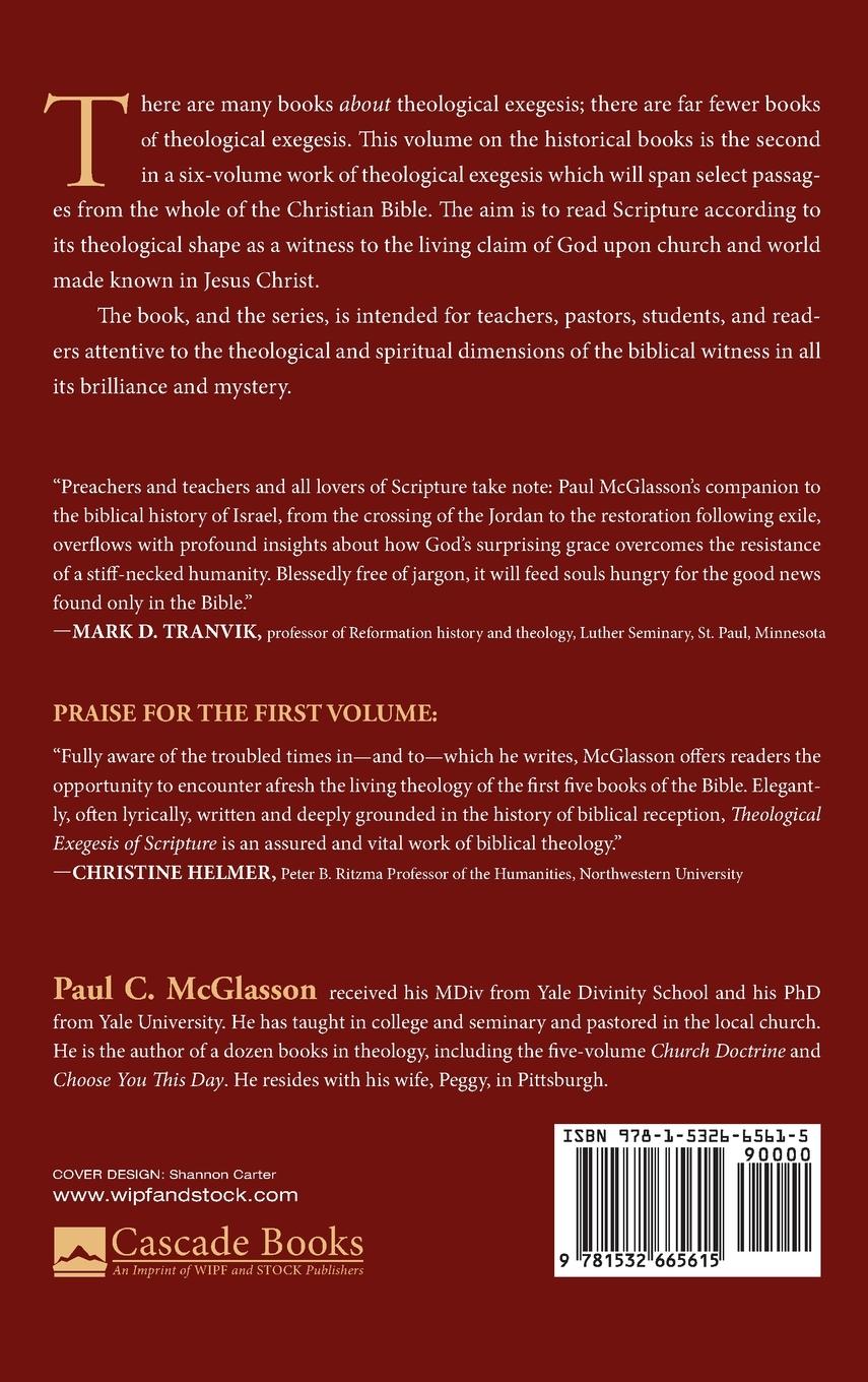 Rückseitencover Theological Exegesis of Scripture