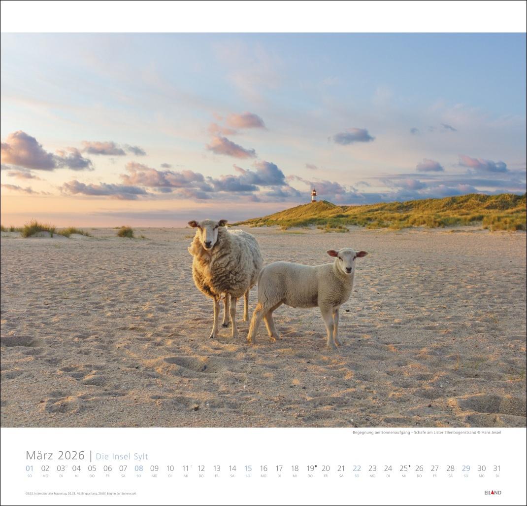 Beispielinhalt (Bild) Die Insel Sylt Edition Kalender 2026 - Hans Jessel