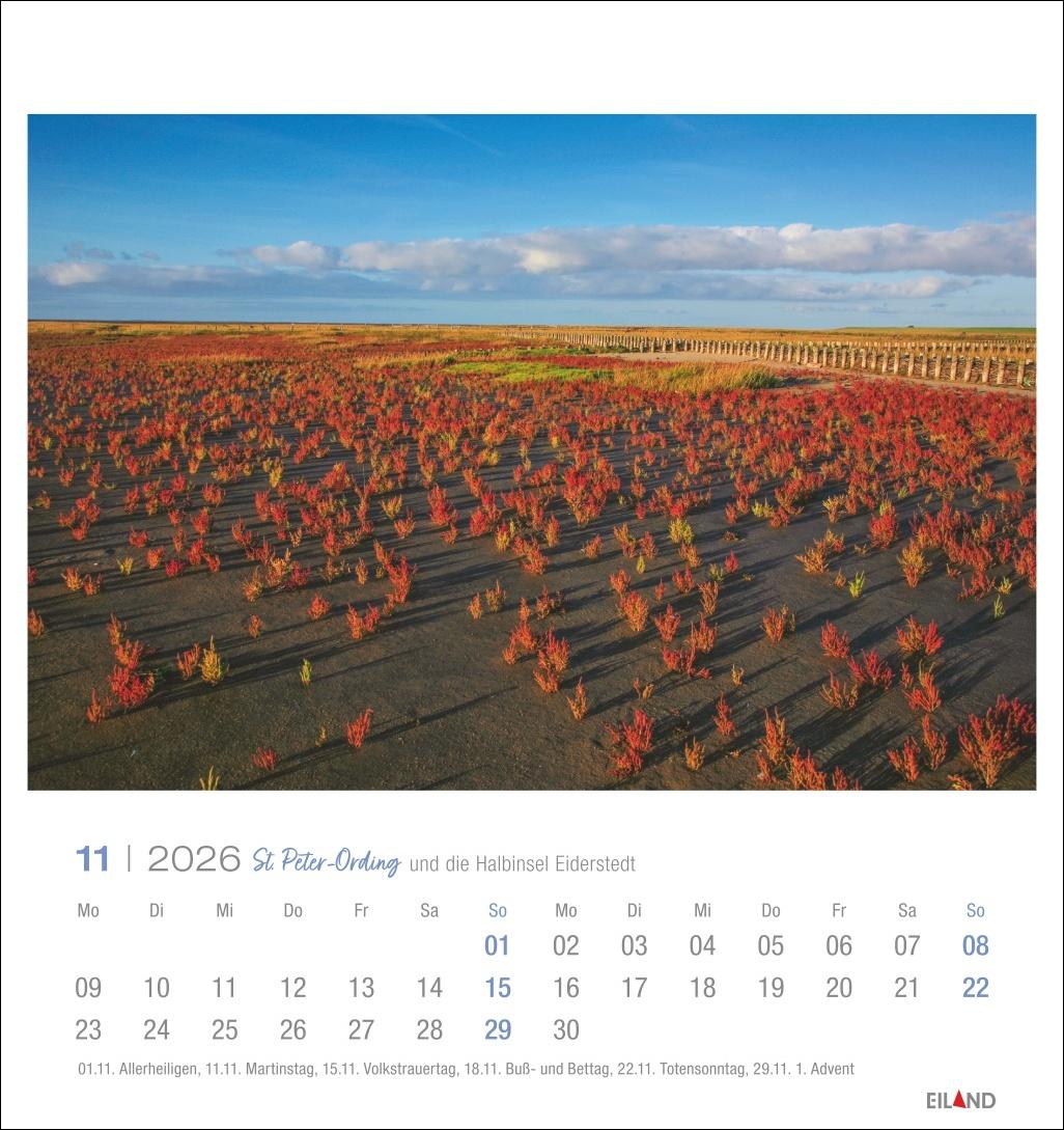 Beispielinhalt (Bild) St. Peter-Ording und die Halbinsel Eiderstedt Postkartenkalender 2026