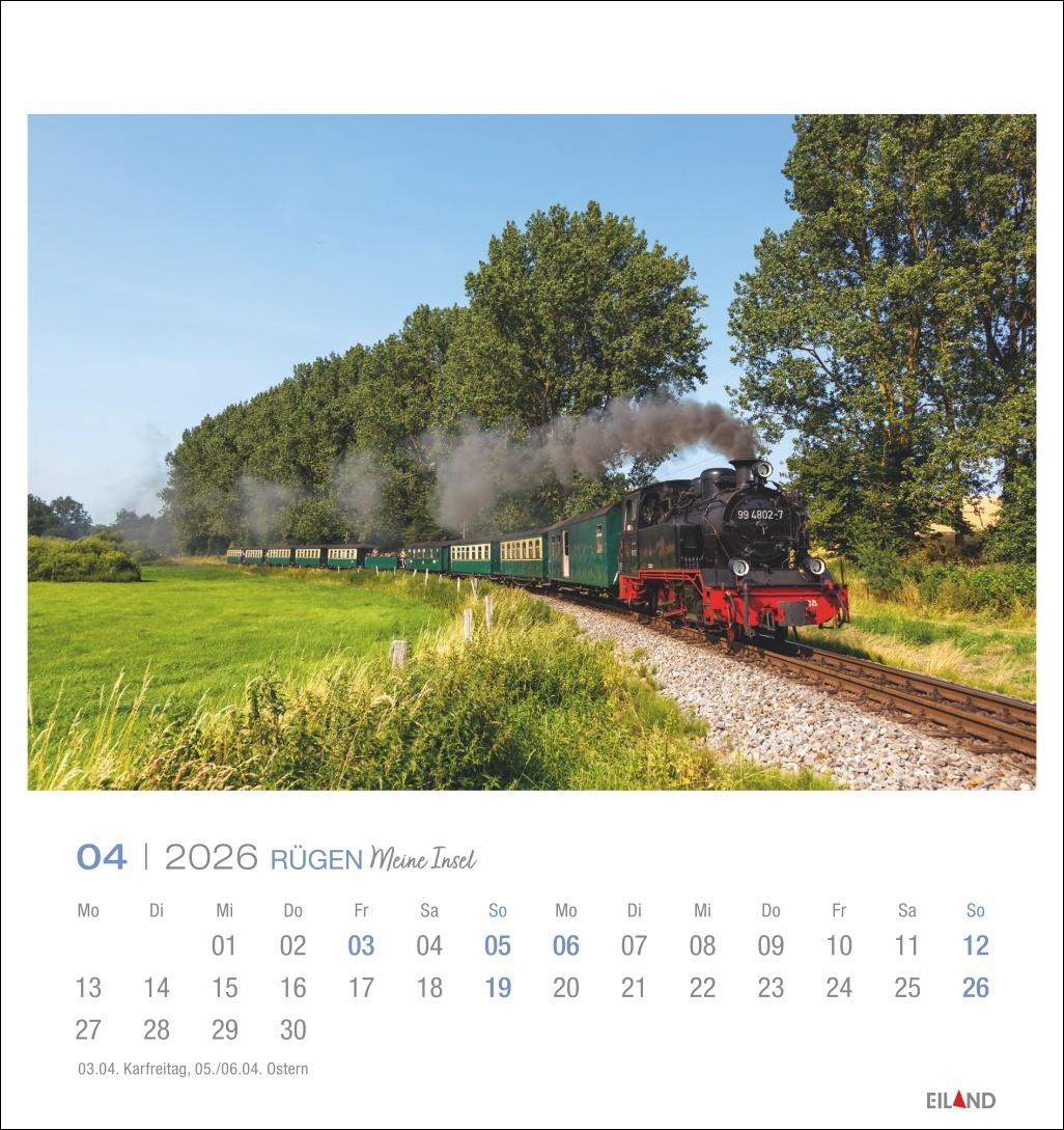 Beispielinhalt (Bild) Rügen Postkartenkalender 2026 - Meine Insel