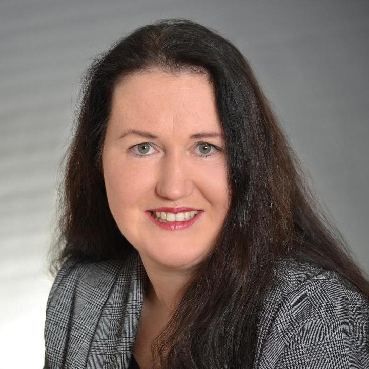 Autorenbild Neugier bringt den Kater um