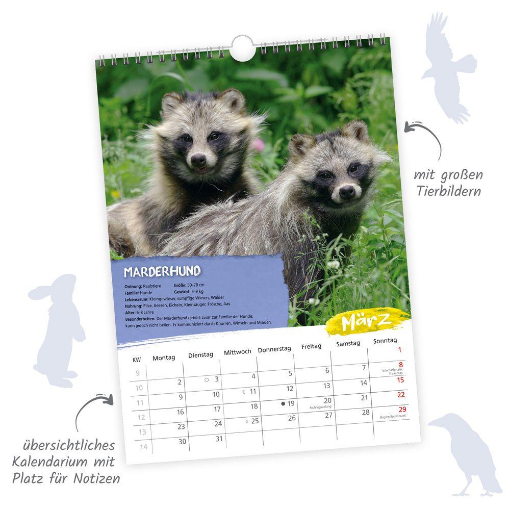 Beispielinhalt (Bild) Trötsch Classickalender Heimische Tierwelt 2026
