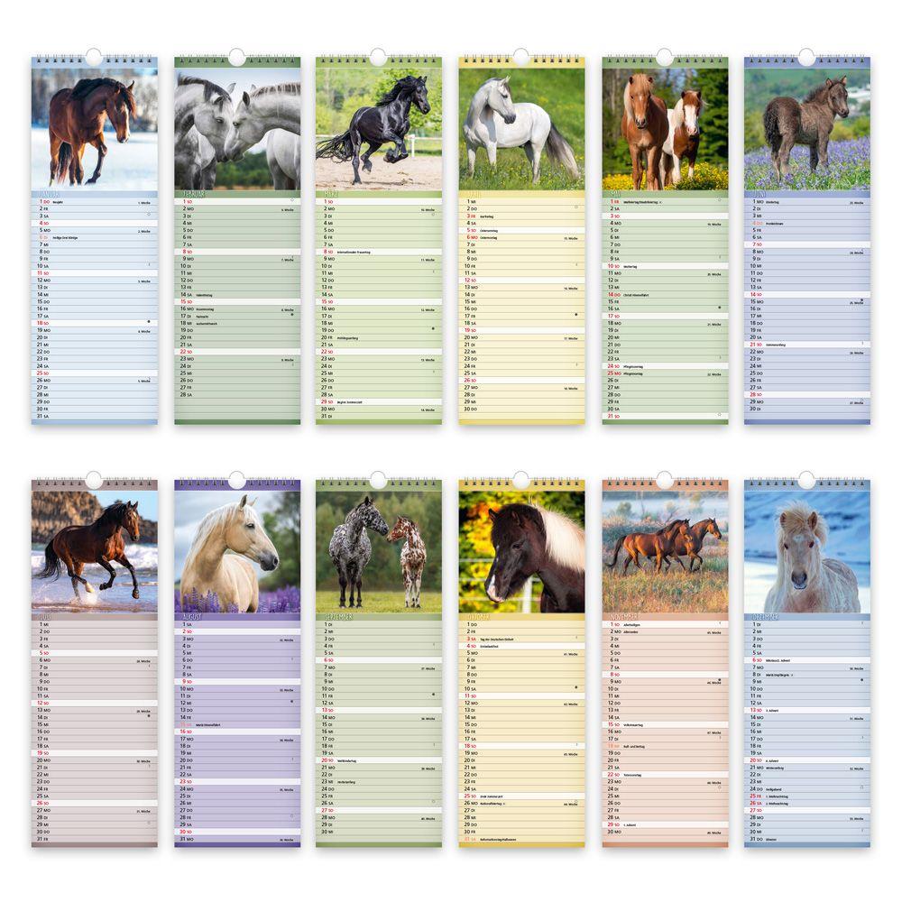 Beispielinhalt (Bild) Trötsch Streifenkalender Pferde 2026 Notizkalender