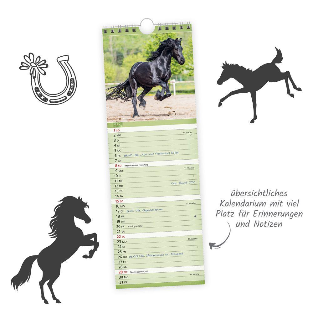 Beispielinhalt (Bild) Trötsch Streifenkalender Pferde 2026 Notizkalender