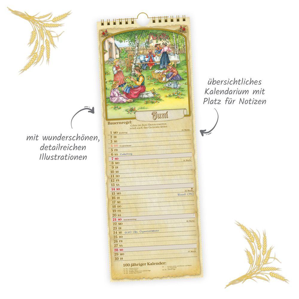 Beispielinhalt (Bild) Trötsch Maxi-Streifenkalender Bauernkalender 2026 mit Hundertjährigem Kalender, Bauernregeln und Ferienterminen