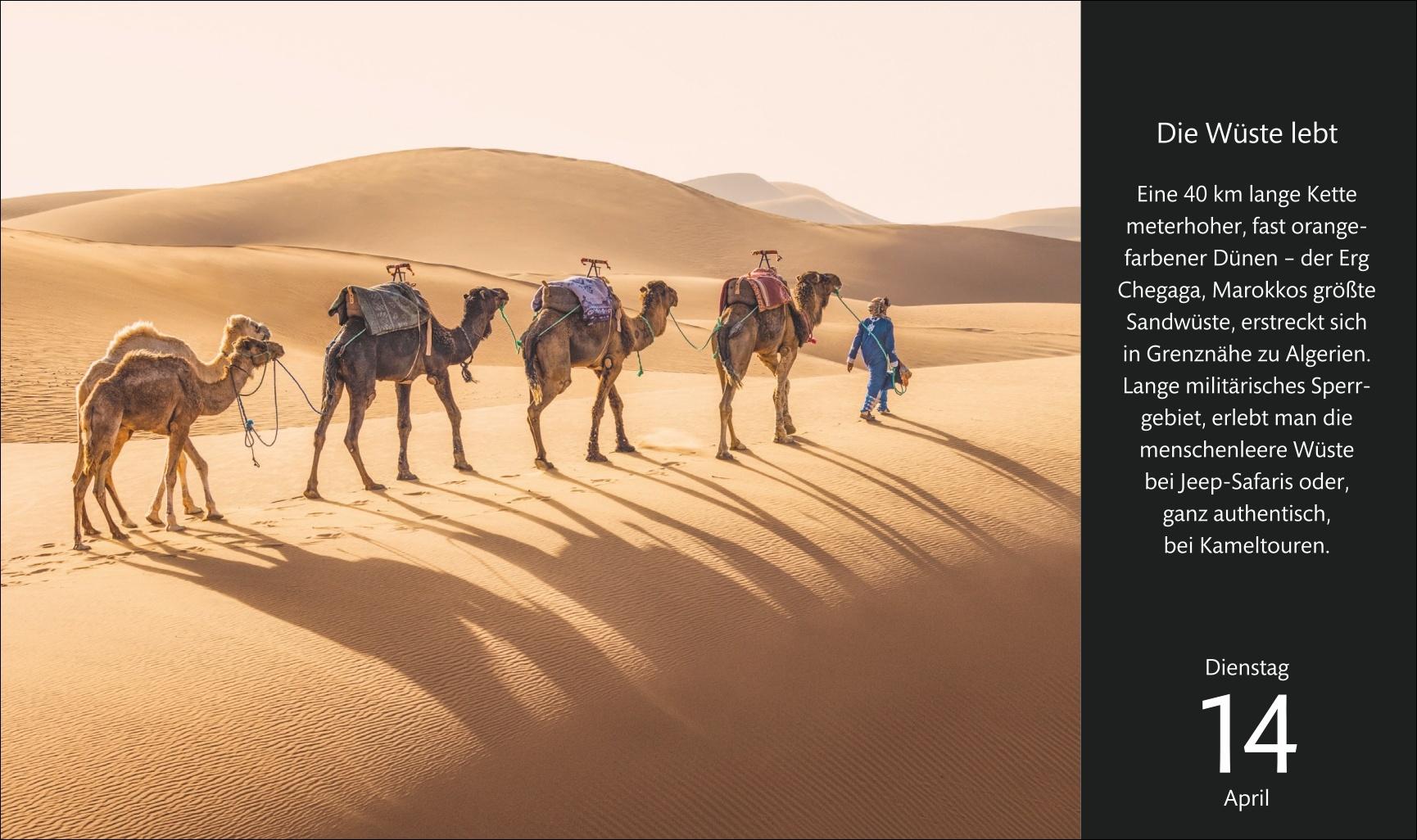 Beispielinhalt (Bild) Eine Reise um die Welt Premiumkalender 2026 - 365 faszinierende Fotografien