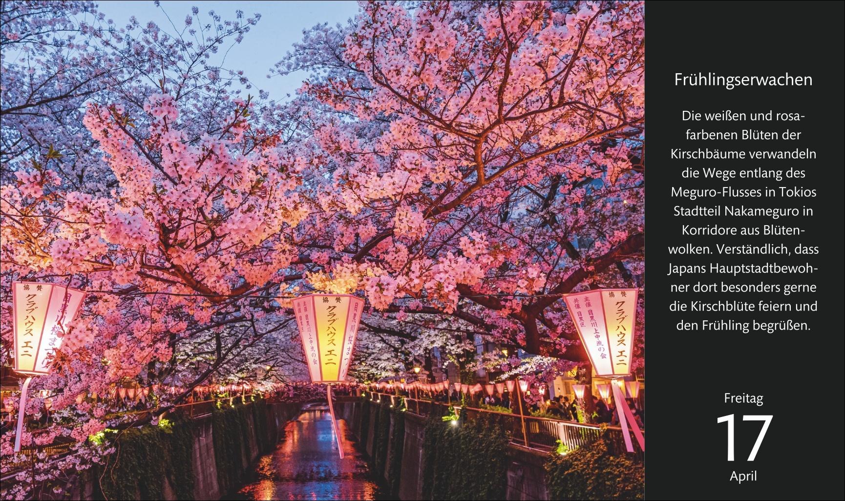 Beispielinhalt (Bild) Eine Reise um die Welt Premiumkalender 2026 - 365 faszinierende Fotografien
