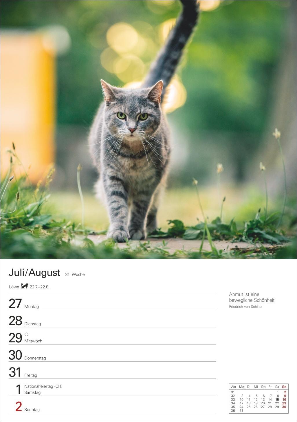 Beispielinhalt (Bild) Katzen Wochenplaner 2026 - 53 faszinierende Fotografien