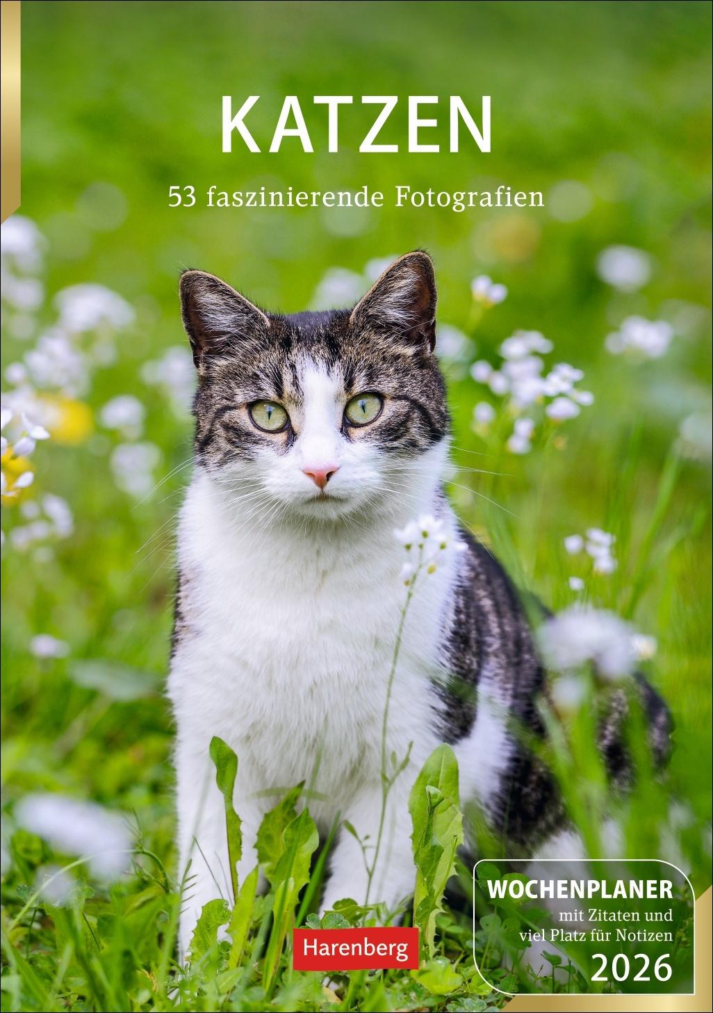 Vorderes Coverbild Katzen Wochenplaner 2026 - 53 faszinierende Fotografien