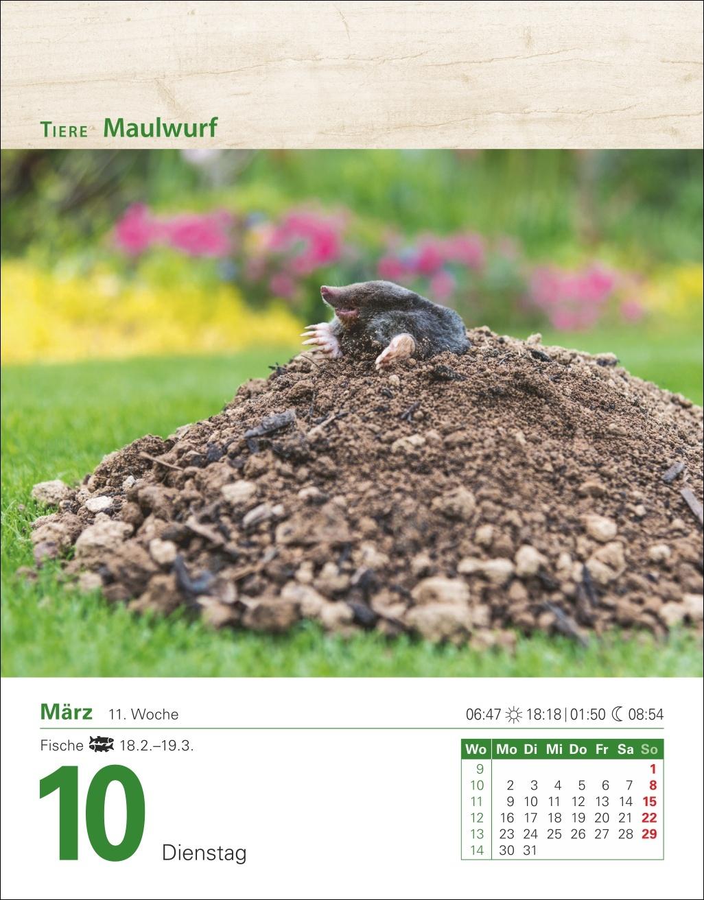 Beispielinhalt (Bild) Mein Garten Tagesabreißkalender 2026 - Praktische Tipps für 2026