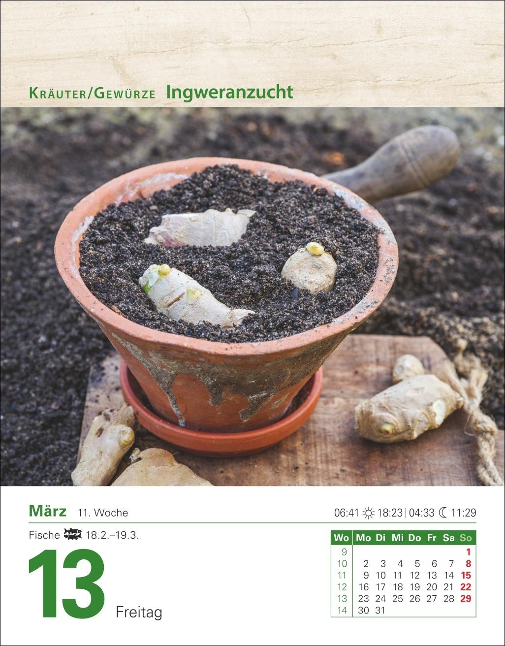 Beispielinhalt (Bild) Mein Garten Tagesabreißkalender 2026 - Praktische Tipps für 2026