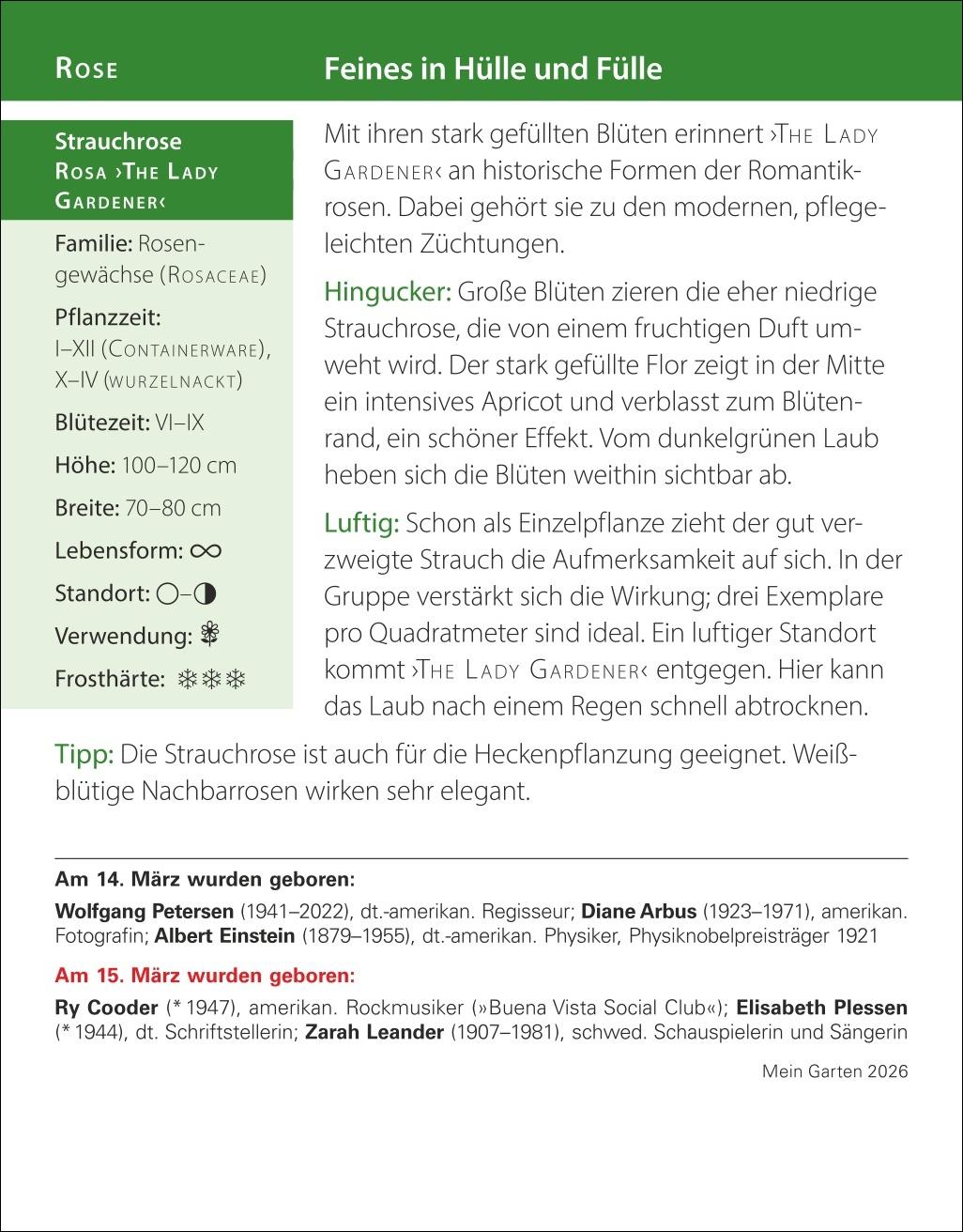 Beispielinhalt (Bild) Mein Garten Tagesabreißkalender 2026 - Praktische Tipps für 2026