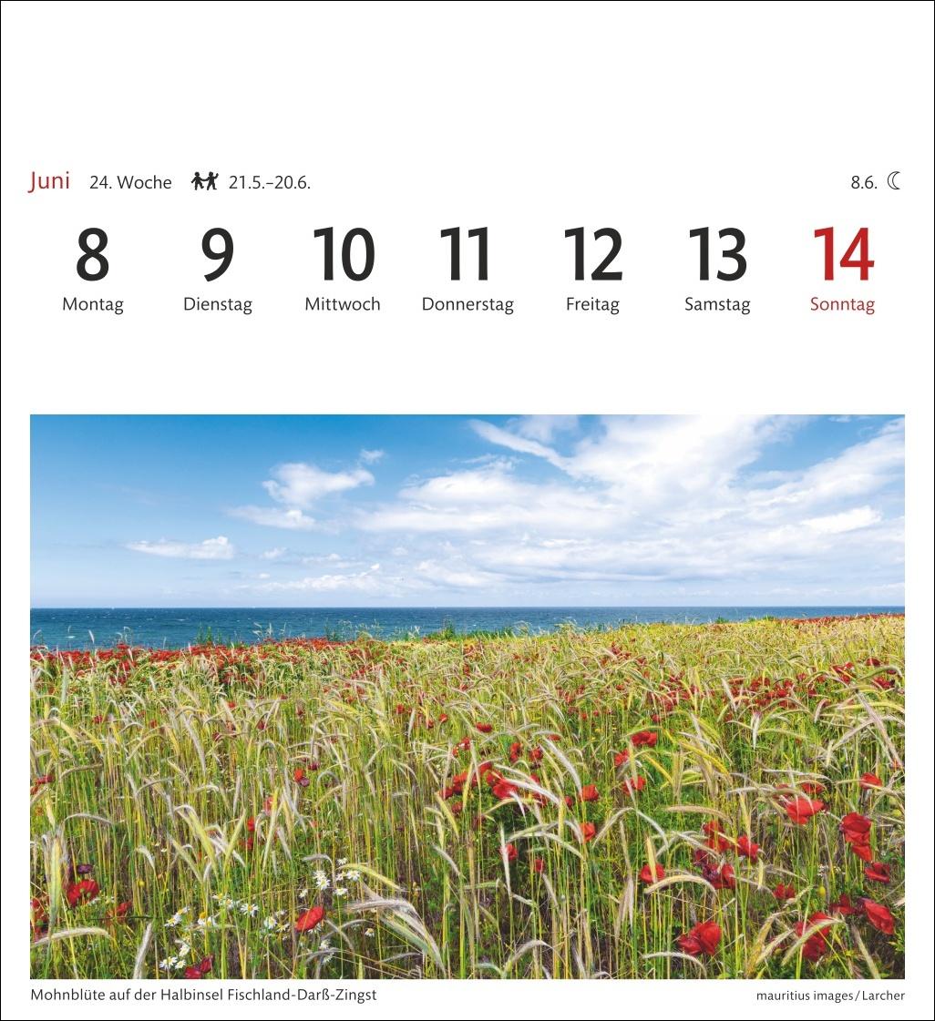 Beispielinhalt (Bild) Ostseeküste Sehnsuchtskalender 2026 - Wochenkalender mit 53 Postkarten