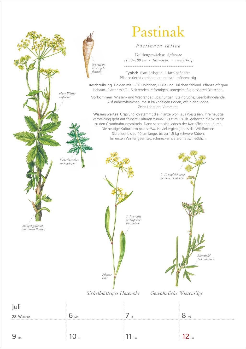 Beispielinhalt (Bild) KOSMOS Was blüht denn da? Wochenplaner 2026 - Der Kalender zum KOSMOS-Naturführer