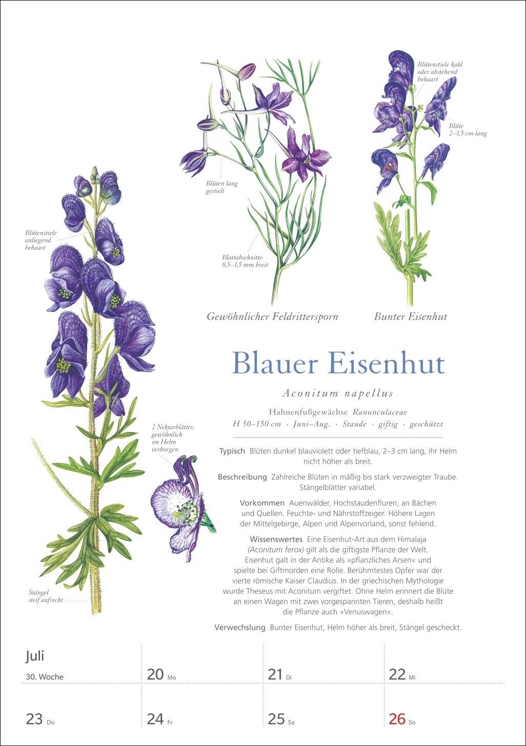 Beispielinhalt (Bild) KOSMOS Was blüht denn da? Wochenplaner 2026 - Der Kalender zum KOSMOS-Naturführer