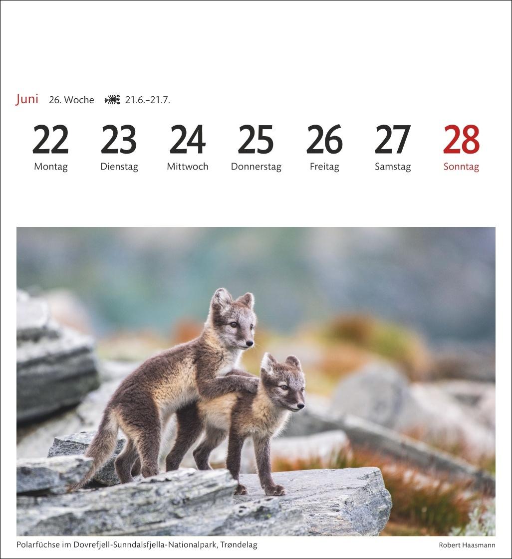 Beispielinhalt (Bild) Norwegen Sehnsuchtskalender 2026 - Wochenkalender mit 53 Postkarten