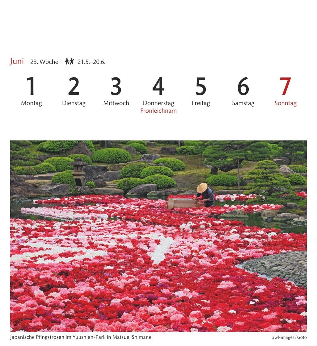 Beispielinhalt (Bild) Japan Sehnsuchtskalender 2026 - Wochenkalender mit 53 Postkarten