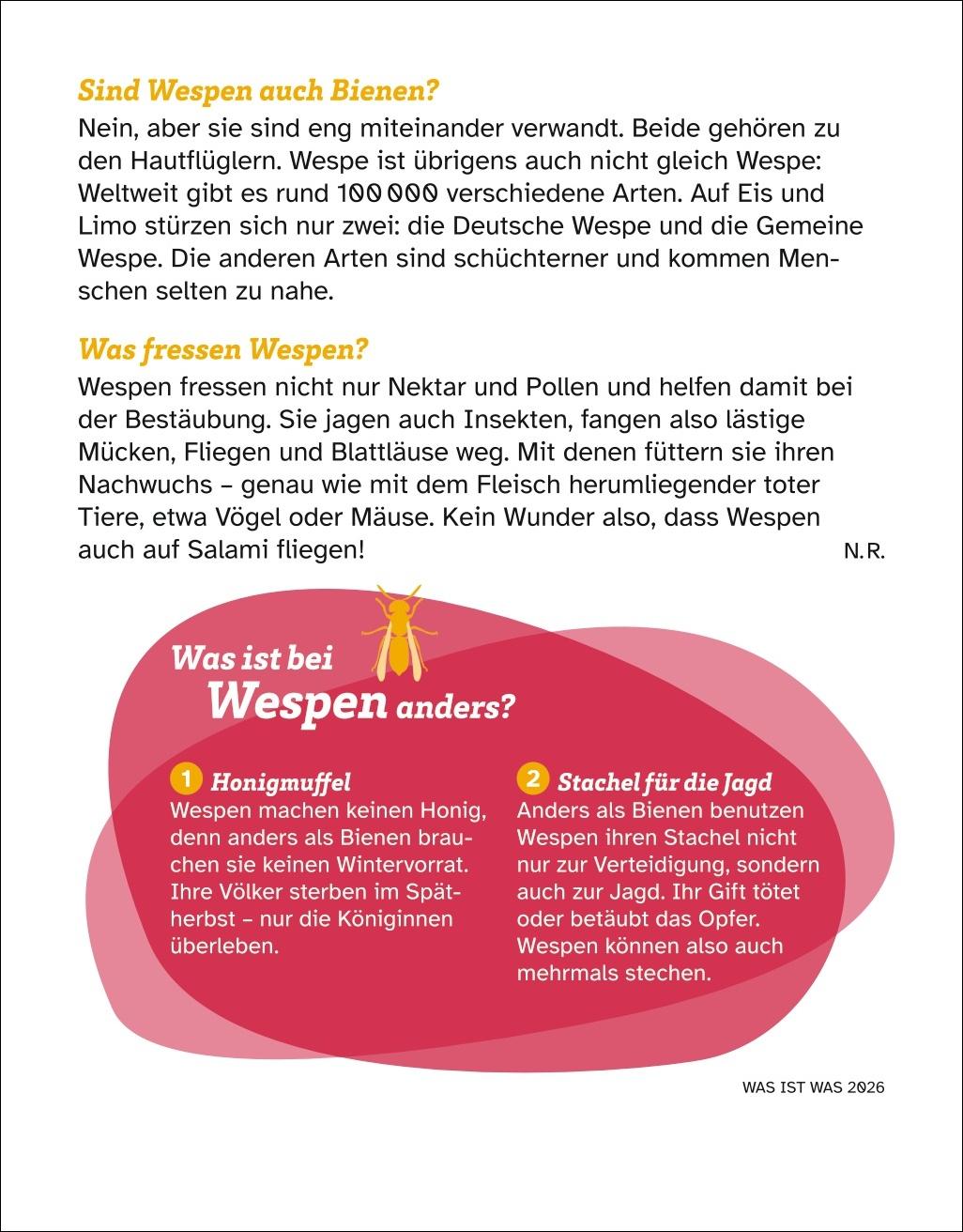 Beispielinhalt (Bild) WAS IST WAS Der Kalender Tagesabreißkalender 2026 - Kinderkalender