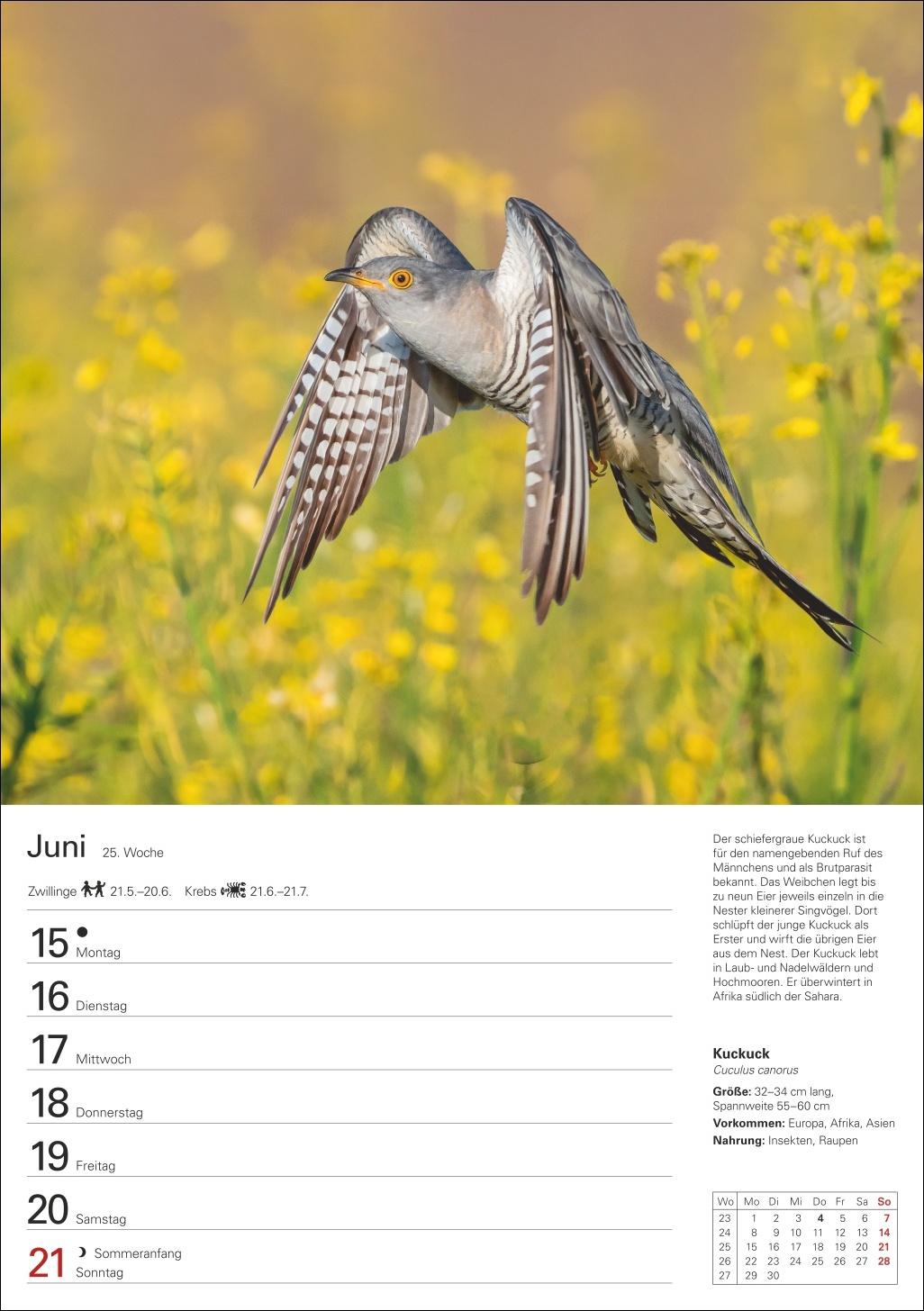 Beispielinhalt (Bild) Heimische Vögel Wochenplaner 2026 - 53 faszinierende Fotografien